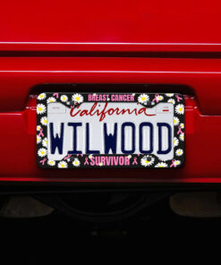 Personalized Breast Cancer Awareness License Plate Set NPNT4130605