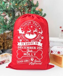 Personalized Dog Santa Sack Personalised pet Stocking Christmas Bag Xmas Treat Gift Bag QFLT4241004