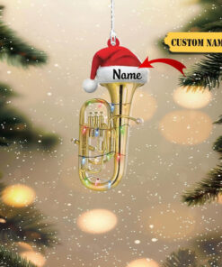 Personalized Euphonium 2D Flat Acrylic Ornament, Euphonium Players Gift, Musical Instrument Ornament NPLT4051106