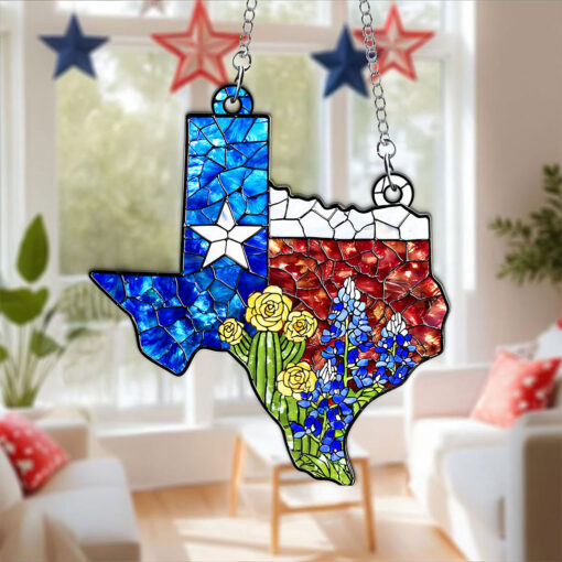 Texas Acrylic Window hanging PMPY5070702